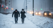 Москву накрыло оранжевой тревогой: метель с порывами до 15 м/с и риск стихийных бедствий