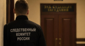 Осужденный лидер NS/WP «Невоград» заявил о раскаянии и планах поступить в консерваторию