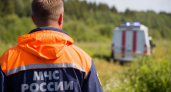 В Подмосковье, вероятно, разбился военный истребитель, летчик успел катапультироваться
