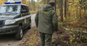 В Бурятии ликвидировали 331 медведя на фоне ежедневных выходов к людям
